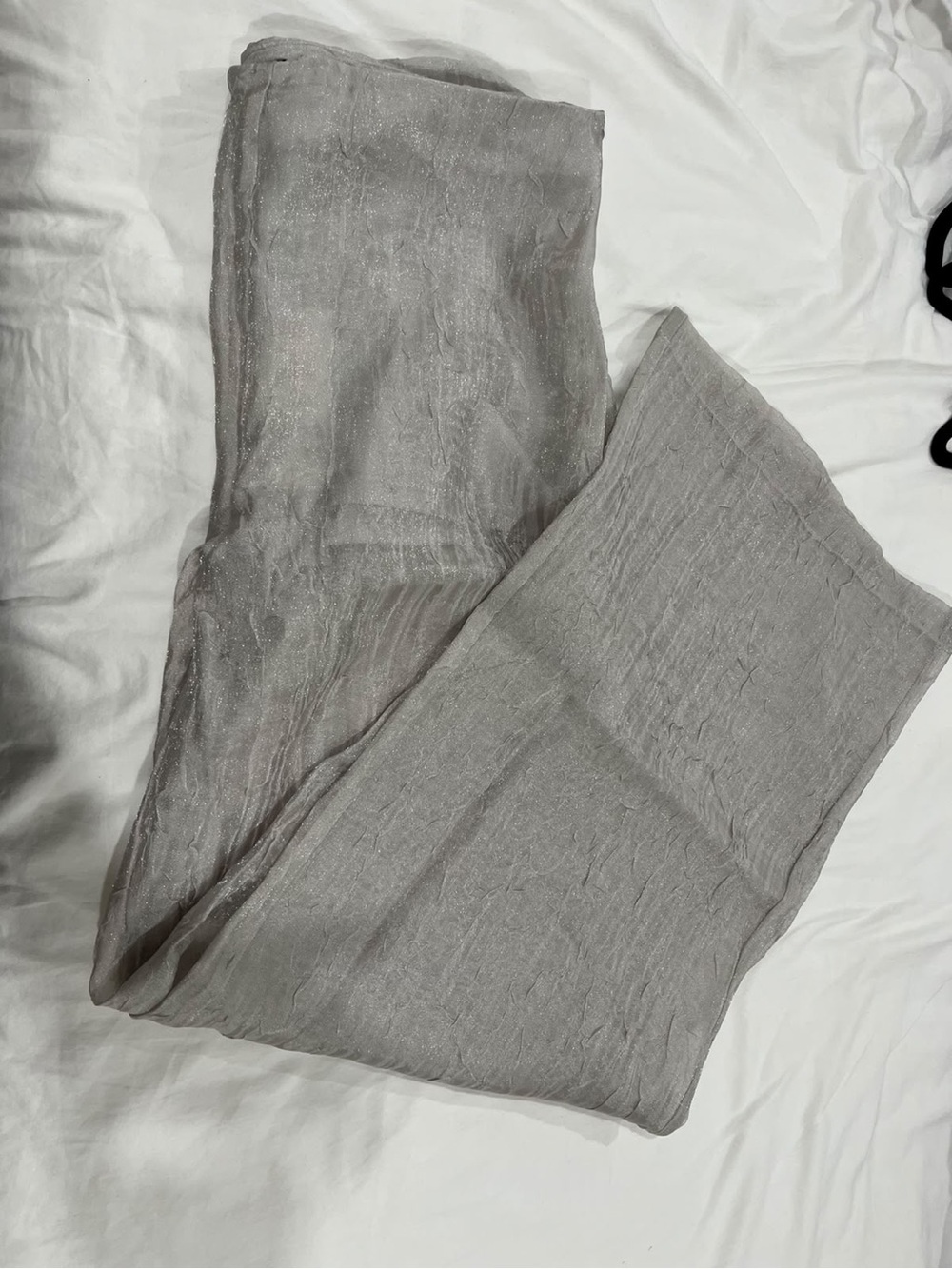 Zara women’s silver sheer pants size XL